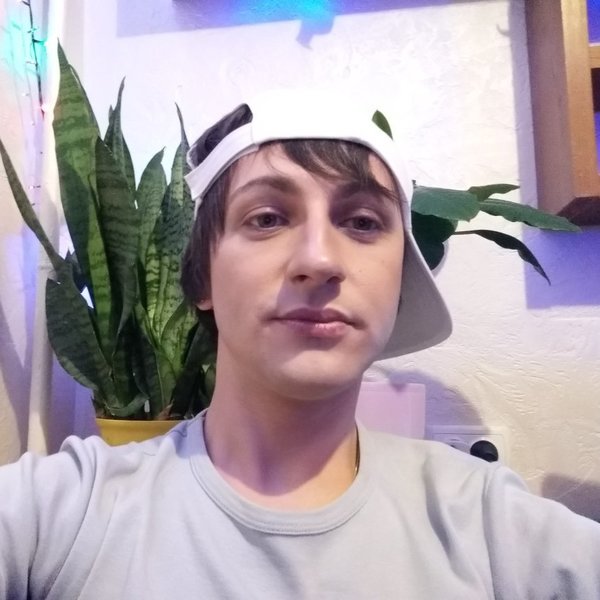 D i m a l a v