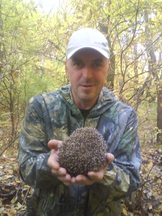 горшенин волгоград. сергей горшенин вк ульяновск. горшенин. горшенин волгоград. горшенин волгоград.