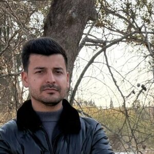 Bulut