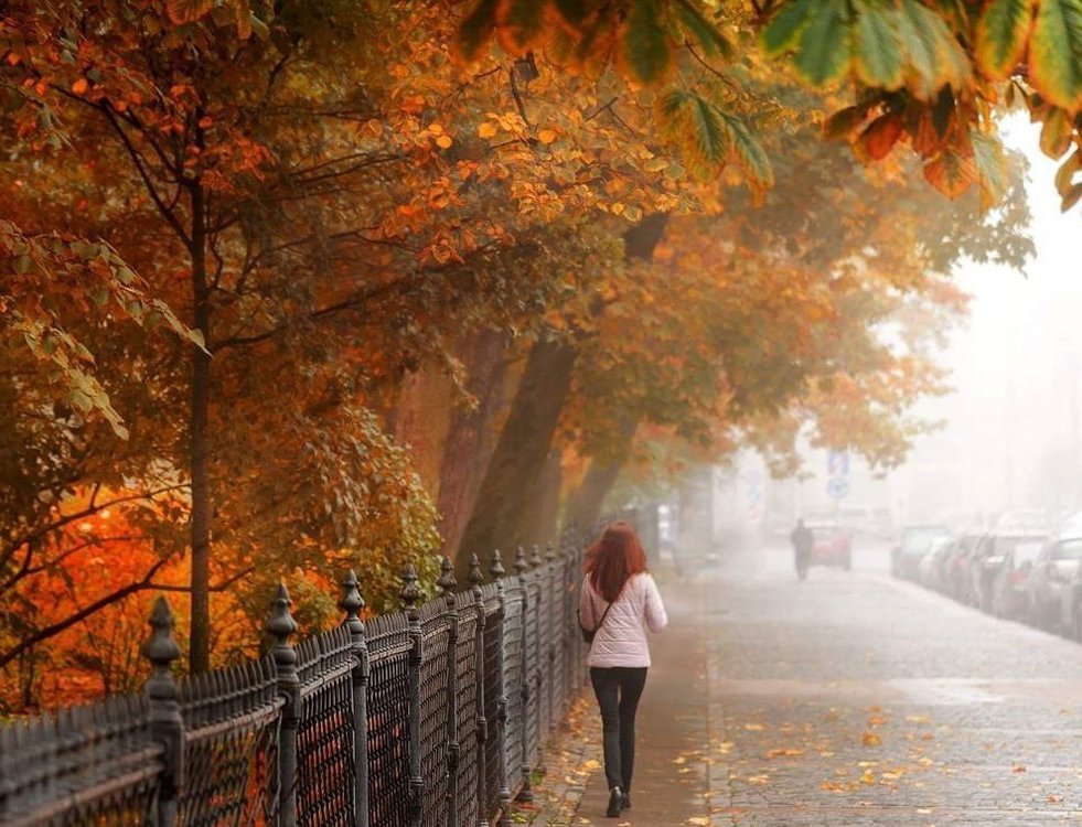 Осень дождь. Осенняя ночь. Осень в городе рассказ. Осень холодная пасмурная. Осень в городе.